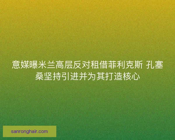 意媒曝米兰高层反对租借菲利克斯 孔塞桑坚持引进并为其打造核心